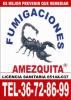 Foto de Fumigaciones amezquita