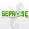 Foto de SEPROSE